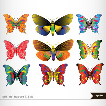 Set of different multicolored butterflies. Vector