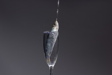 Sardine is a healthy fish