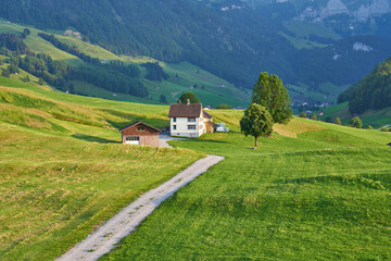 Landscape panorama of green nature and village houses near Appenzell, Alpstein mountains, Switzerland. Taken in June, in summer.