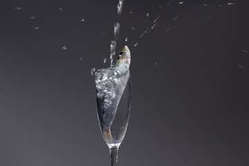 Sardine is a healthy fish