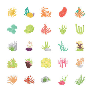 Coral Reef Flat Vector Icons 