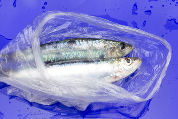 Sardine is a healthy fish