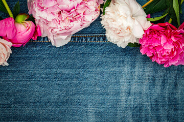 Peony flowers on denim jeans blue fabric background, closeup, copy space, text place. 