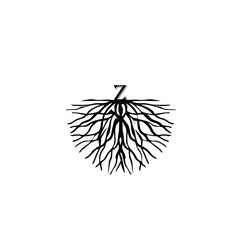 illustration of letter Z on root logo vector