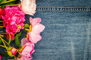 Peony flowers on denim jeans blue fabric background, closeup, copy space, text place. 
