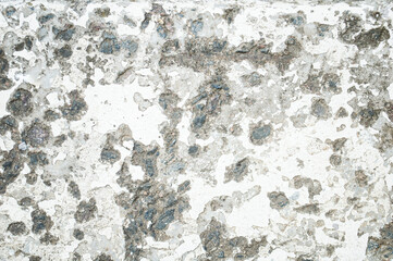 white concrete texture. light concrete background with copy space