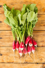 Garden harvest of fresh young red radish bunch with green leaves on wooden rustic table background. Top view.