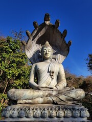 Obraz premium statue of buddha