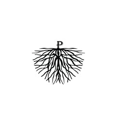 illustration of letter P on root logo vector