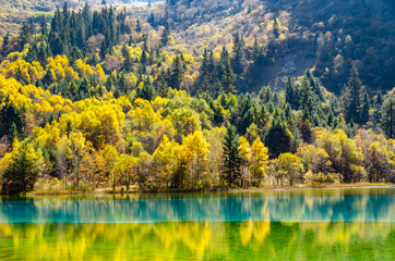 Beautiful multi-color pond at famous Jiuzhaigou National park in autumn, the world heritage site near Chengdu Chinal.