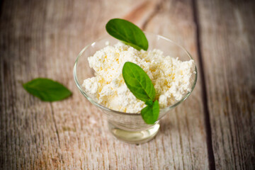 fresh organic homemade cottage cheese in a glass bowl