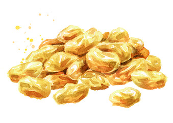 Heap of dried golden raisins. Hand drawn watercolor illustration isolated on white background