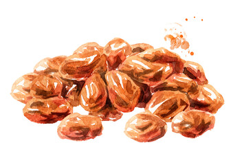 Heap of dried sweet red raisins. Hand drawn watercolor illustration isolated on white background
