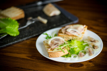 sandwich with salad, herring and herbs with onions in a plate