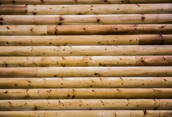 Bamboo wooden background