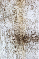 Abstract concrete, weathered with cracks and scratches. Landscape style. Grungy Concrete Surface. Great background or texture.