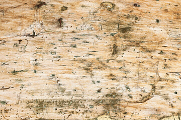 Natural wood texture for background. Copy space, banner