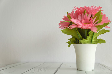 Pink flowers in pots on a white background
