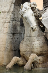 Fototapeta na wymiar Horse.Fountain of the Four Rivers.Rome.