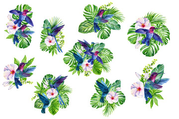 Summer tropics, set of plants, palm leaves, flowers and birds hummingbirds, watercolor botanical illustration