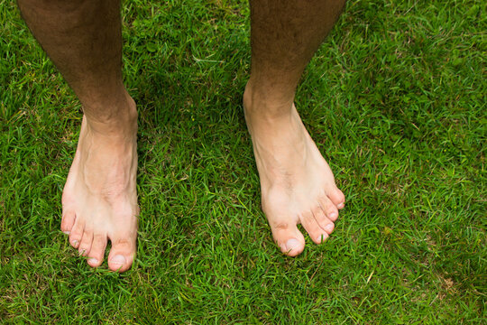 A bare men feet on a green lawn. Man Standing On Grass. proximity to nature. healthy feet. Close up of feets on the grass.