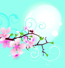 pink sakura flowers blue sky and moon