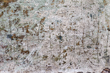 Abstract concrete, weathered with cracks and scratches. Landscape style. Grungy Concrete Surface. Great background or texture.