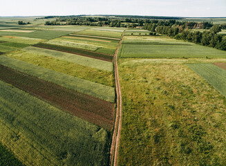 Fototapeta na wymiar Many fields and the road, photo from above. Aerial photography, agriculture, summer, greenery, grass, wheat field.
