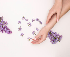 Obraz na płótnie Canvas Concept of hand care, anti-wrinkle, anti-aging cream, Spa. Beautiful female hands with lilac flowers on a white background, top view. Heart of flowers.