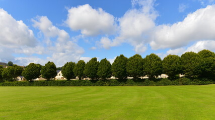 green grass, leafy trees and blue sky