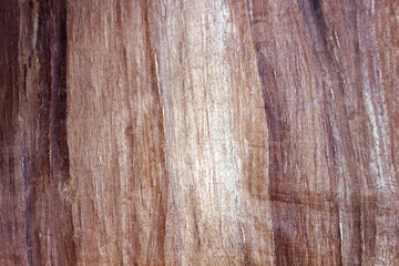 Antique papyrus as background