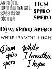 Latin and English lettering Dum Spiro Spero While I breathe, I hope