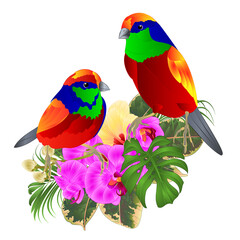 Tropical birds with tropical flowers   floral arrangement, with beautiful orchid and yelow hibiscus,palm,philodendron and ficus vintage vector illustration  editable hand draw