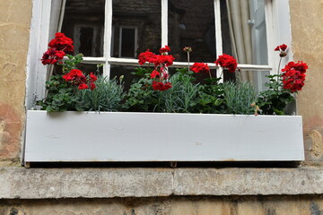 Window Flower Box