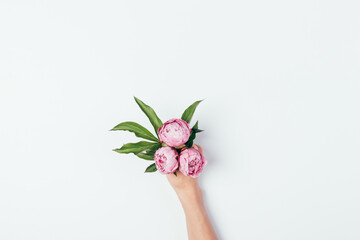 Female hand holding bouquet of pink peony flowers