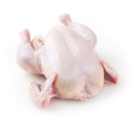 Whole fresh raw chicken isolated on white background