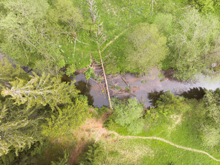 Forest and river aerial view from a drone. Summer landscape. Background. Pattern.