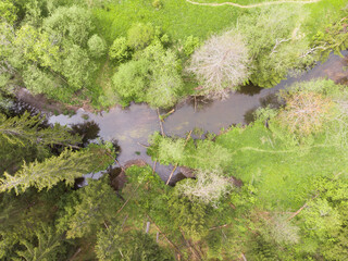 Forest and river aerial view from a drone. Summer landscape. Background. Pattern.