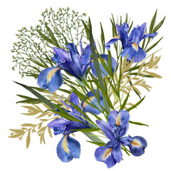 Composition of iris flowers with foliage. Isolated watercolor illustration.
