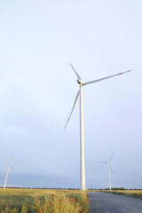 wind farms in the field