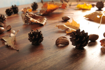 High angle view of faded fall foliage on wooden table. Pine cones and acorns spread out in the distance. Shallow depth of field.