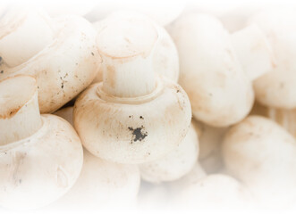  mushrooms