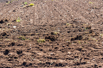 field of soil. Preparing the earth for planting