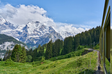 Swiss Alps landscape panorama with green nature and snowy mountains. Taken from Grütschalp - Mürren train, above Lauterbrunnen valley, Bernese Highlands, canton of Bern, Switzerland       