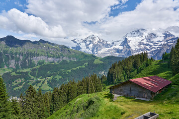 Fototapeta na wymiar Swiss Alps landscape panorama with green nature and snowy mountains. Taken from Grütschalp - Mürren train, above Lauterbrunnen valley, Bernese Highlands, canton of Bern, Switzerland 