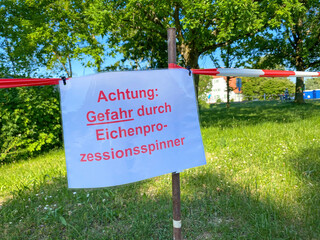 Achtung Eichenprozessionsspinner,