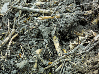 Mud Dirt Background Wallpaper Pattern