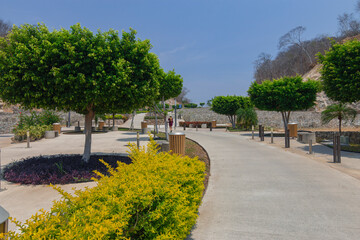 Beautiful tropical green park . outdoors