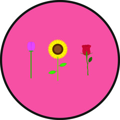 flower vector. illustration for web and mobile design.