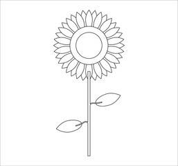 sunflower flower vector. illustration for web and mobile design.
